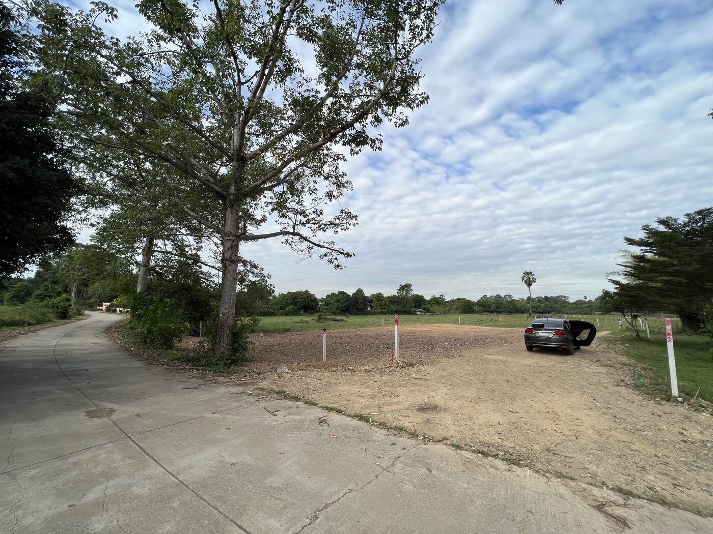 A31